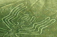 Nazca Spider